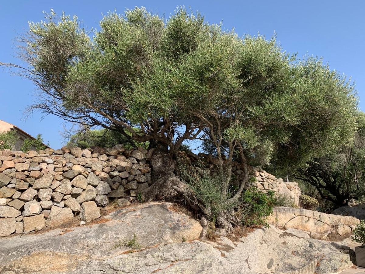 Gasthaus Stazzu Nuraghe Mannucciu Rena Majore Exterior foto